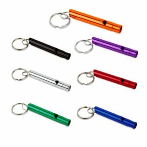Llaveros metálicos